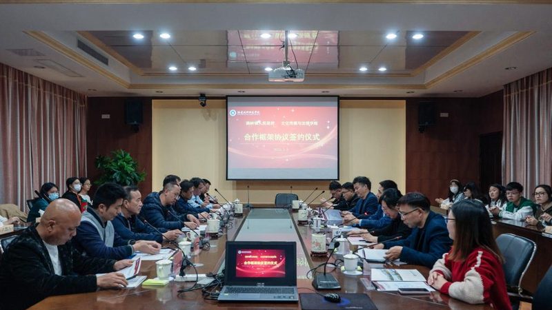 品牌策划行业标准版本号解析：了解与运用